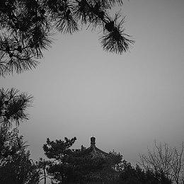 海战潜行《护卫舰：加勒比之影》steam抢先体验 支持中文